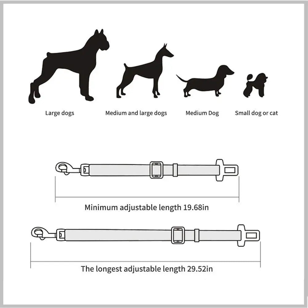 Verstellbarer Hunde Sicherheitsgurt