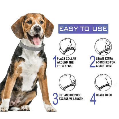 Floh- & Zeckenhalsband für Hunde