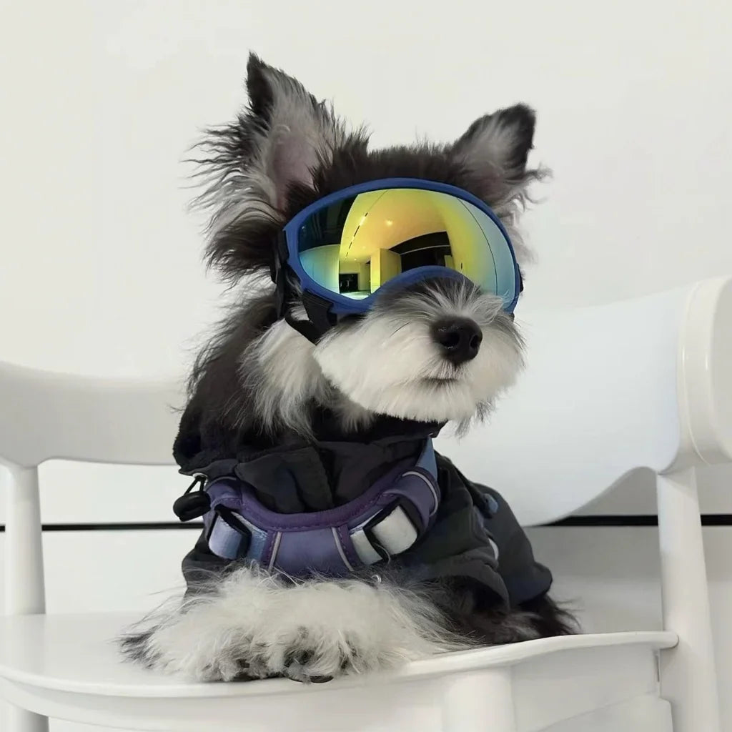PawShield Hunde-Schutzbrille mit UV-Schutz