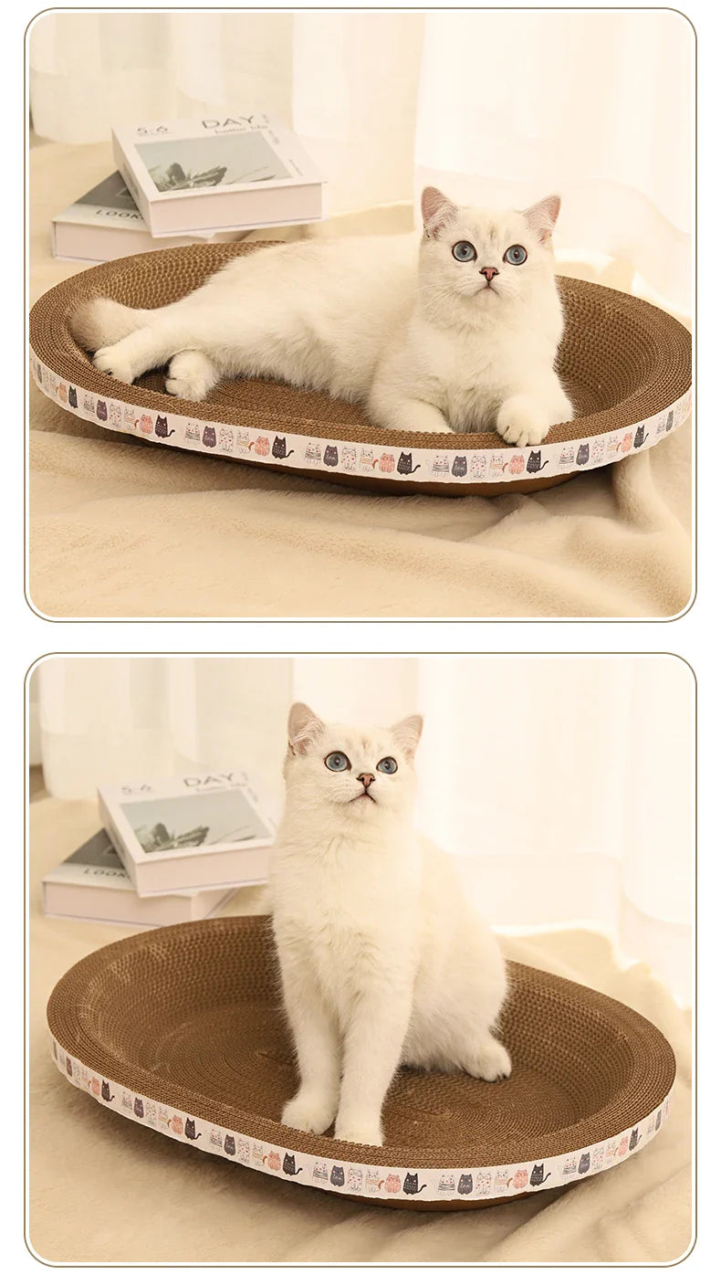 Katzen Kratzpad aus Karton