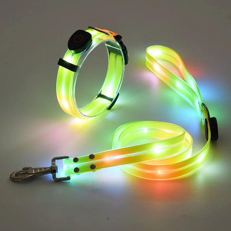 LED Hundehalsband & Leinen-Set