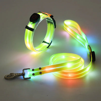 LED Hundehalsband & Leinen-Set