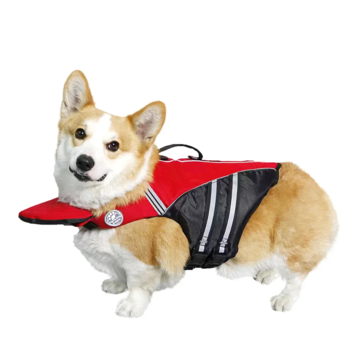 WasserPfote Hunde-Schwimmweste