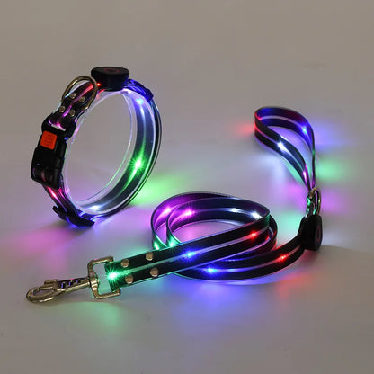 LED Hundehalsband & Leinen-Set