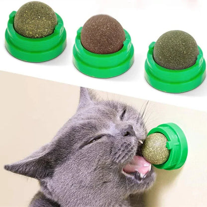 Natürlicher Katzenminze Rollball