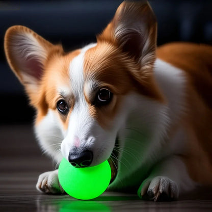 LeuchtHüpfer – Hundebälle, die im Dunkeln leuchten 🌙🎾