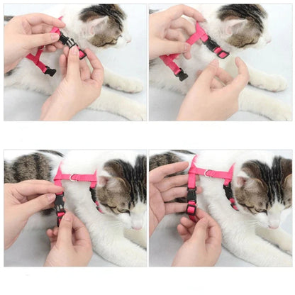Geschirr- und Leinen-Set für Kaninchen & Katzen