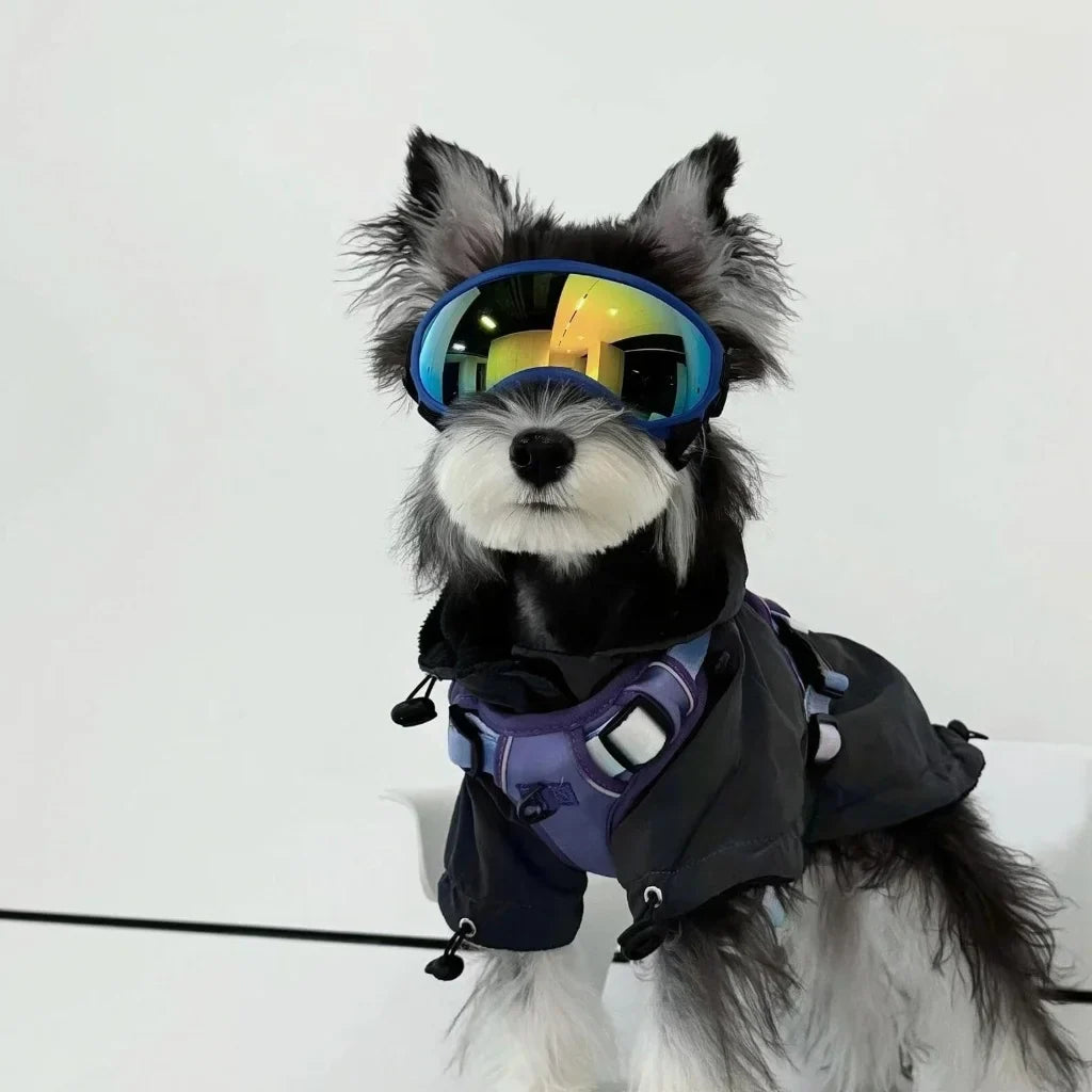 PawShield Hunde-Schutzbrille mit UV-Schutz