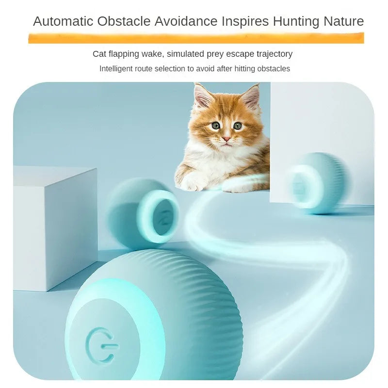 Automatischer Beweglicher Katzenball