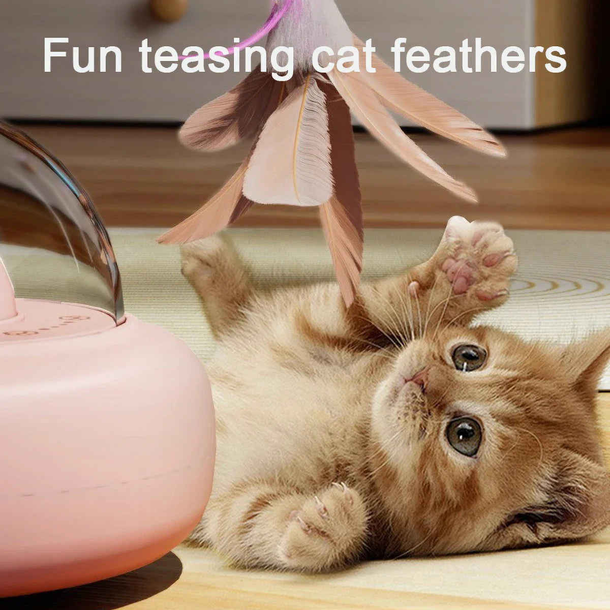 Interaktives Laser Spielzeug für Katzen
