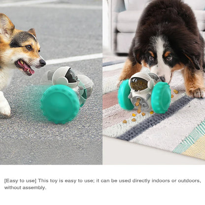 Interaktiver Futterball für Hunde & Katzen