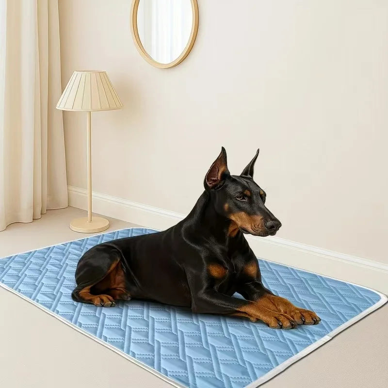 FrostPfote Premium Kühlmatte für Hunde