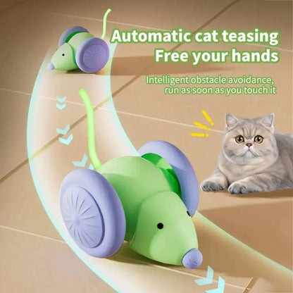 Interaktive Elektrische Maus für Katzen