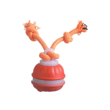 Interaktiver, wiederaufladbarer Hunde-Spielball