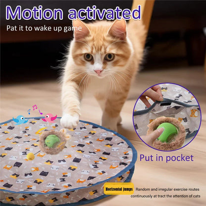 Interaktives Versteckspiel für Katzen