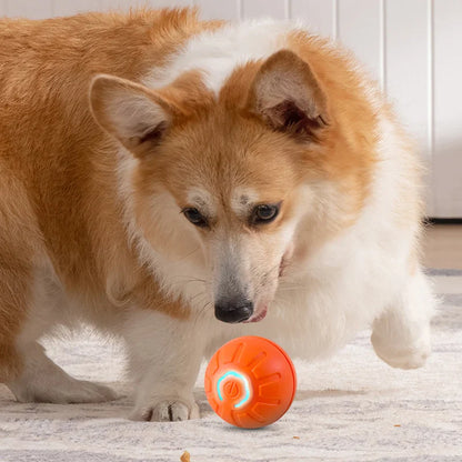 Interaktiver Springball für Hunde