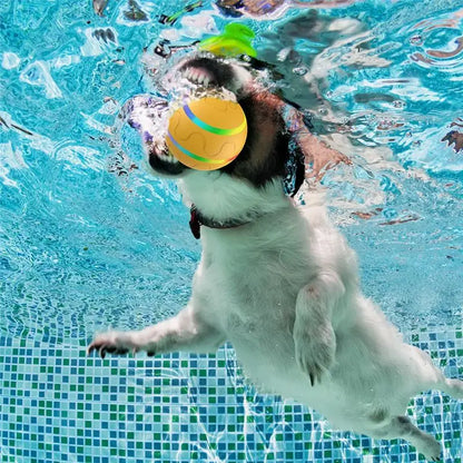 Intelligenter interaktiver Rollball für Hunde & Katzen