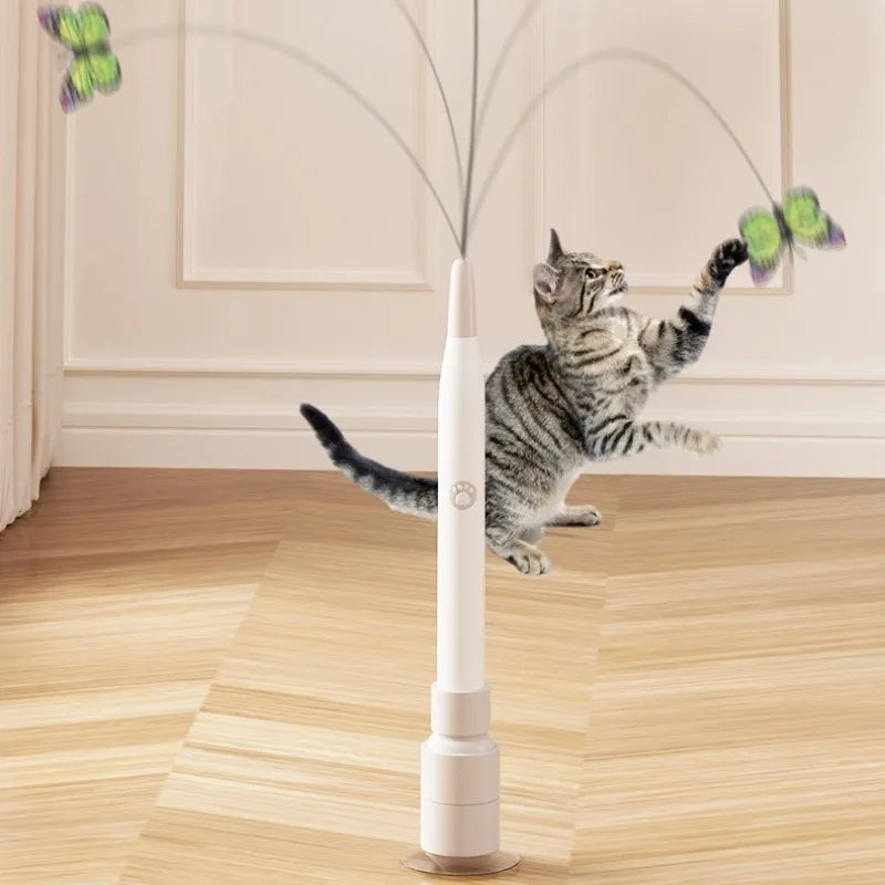FlatterSpiel Katzen-Spielzeug
