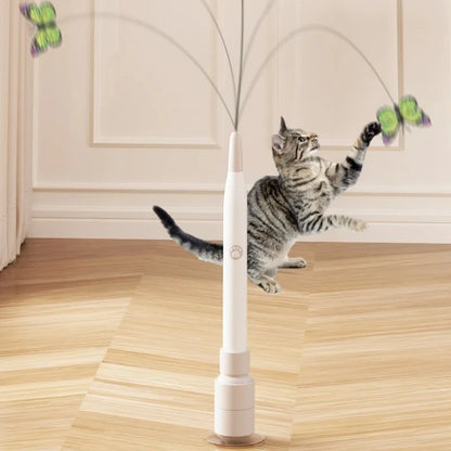 FlatterSpiel Katzen-Spielzeug