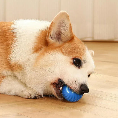 Interaktiver Springball für Hunde