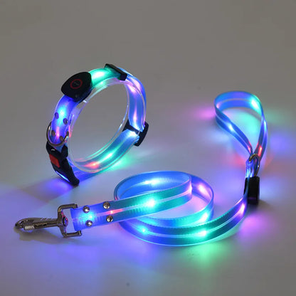 LED Hundehalsband & Leinen-Set