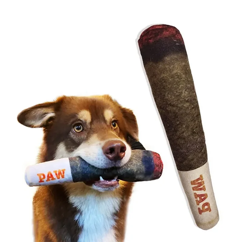 SpaßRolle Quietschendes Spaß-Hundespielzeug