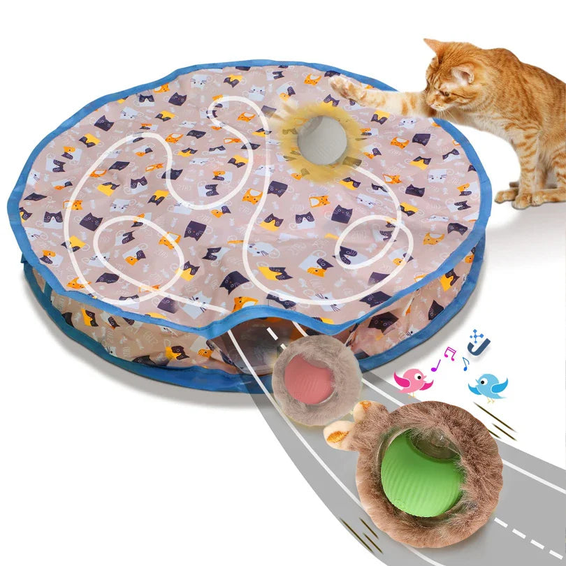 Interaktives Versteckspiel für Katzen