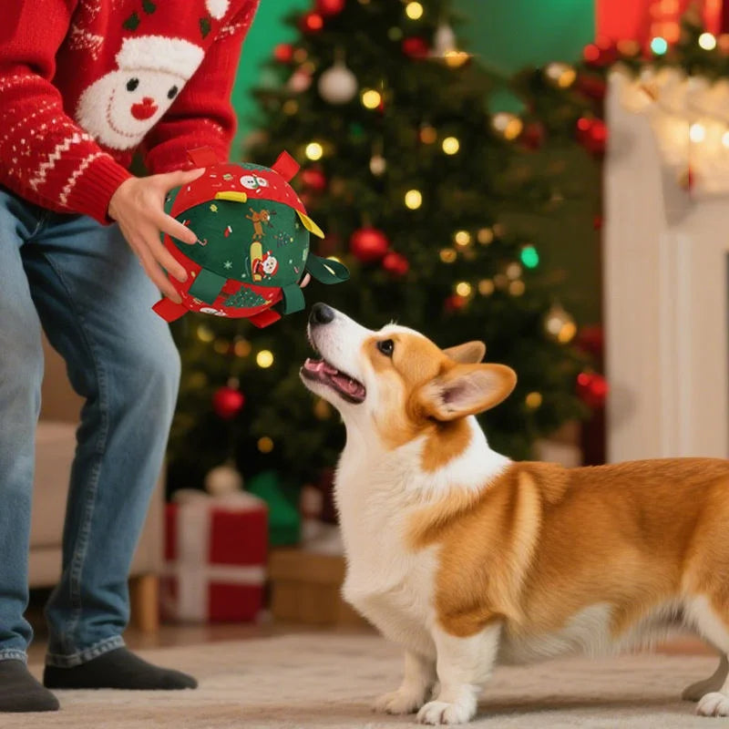 KlingelRolle Selbstfahrender Weihnachts-Hundeball