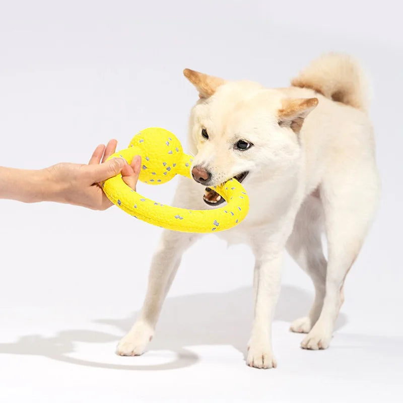 Robuster Kauspielring für Hunde