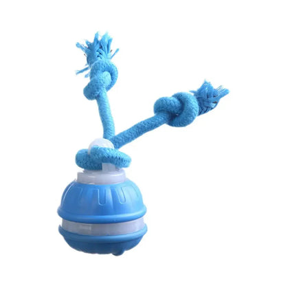 Interaktiver, wiederaufladbarer Hunde-Spielball