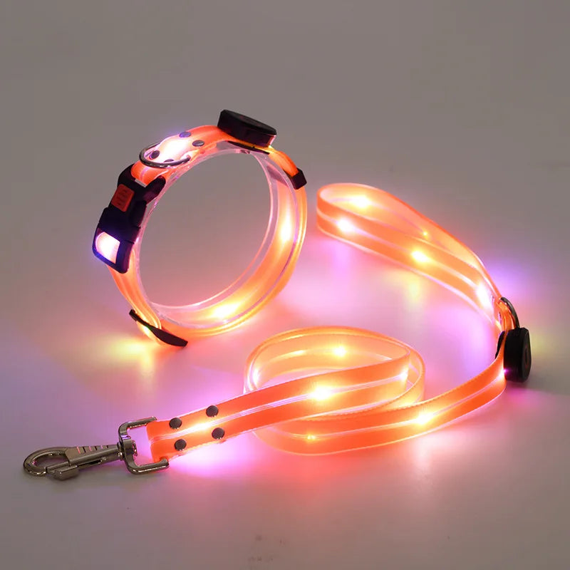 LED Hundehalsband & Leinen-Set