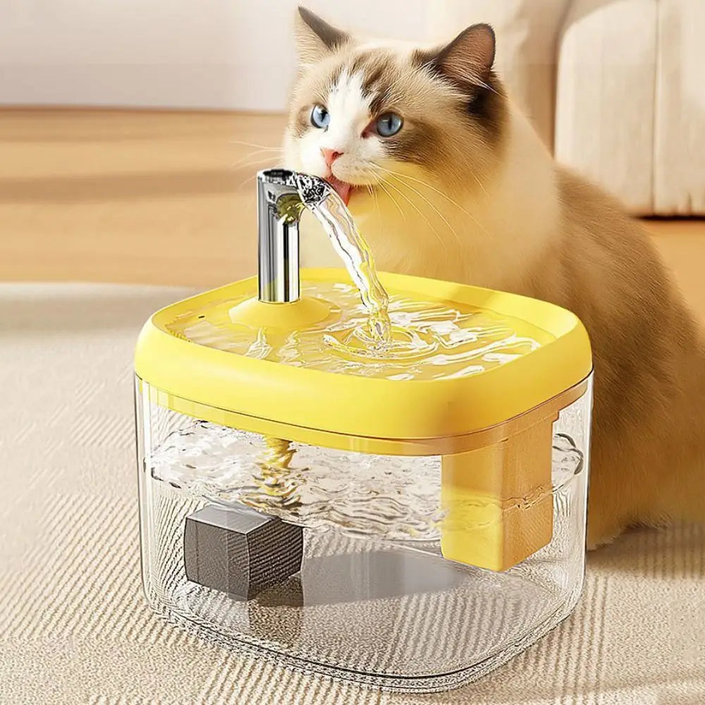 Katzen Trinkbrunnen