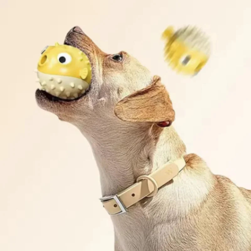 Hüpfender Fisch für Hunde – Spielball mit Leckerli & Sound