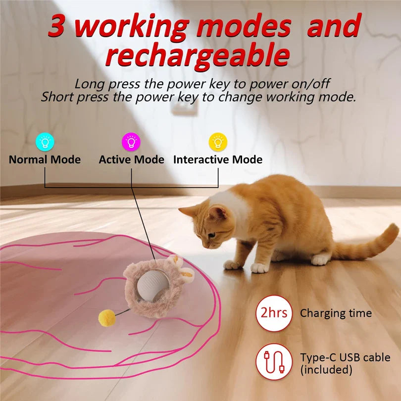 Interaktives Versteckspiel für Katzen