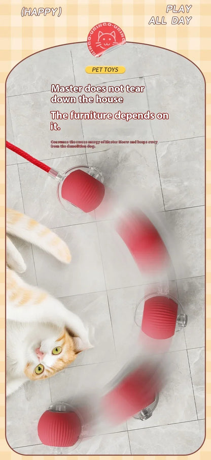 Interaktiver Spielball für Hunde & Katzen