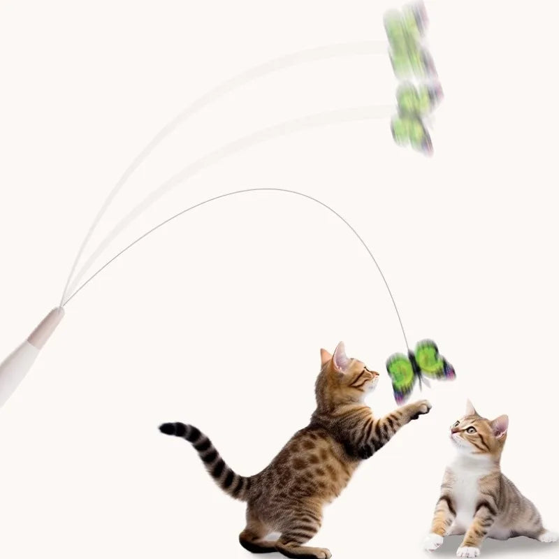 FlatterSpiel Katzen-Spielzeug
