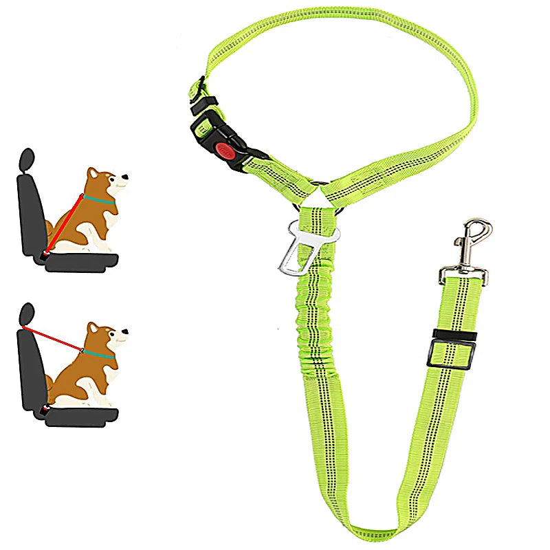 2-in-1 Haustier Sicherheitsgurt-Leine