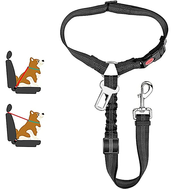 2-in-1 Haustier Sicherheitsgurt-Leine