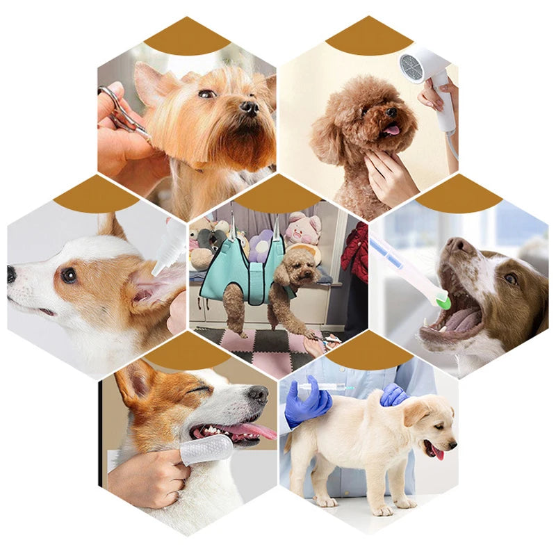 Pflege-Hängematte zur Fellpflege für Katzen & kleine Hunde