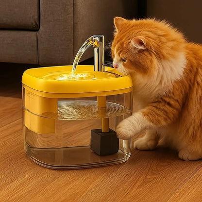 Katzen Trinkbrunnen