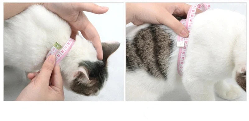 Geschirr- und Leinen-Set für Kaninchen & Katzen