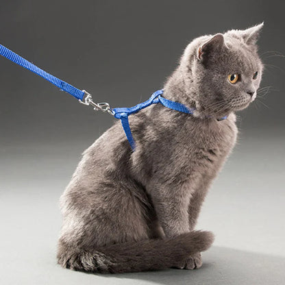 Geschirr- und Leinen-Set für Kaninchen & Katzen