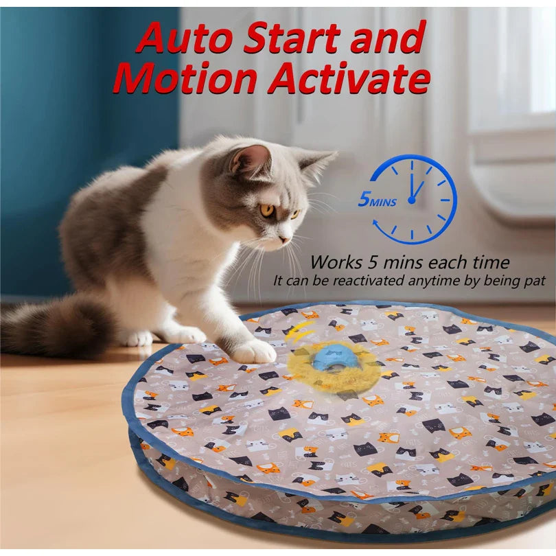 Interaktives Versteckspiel für Katzen