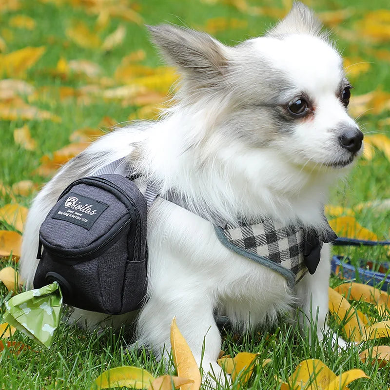 Hundetasche mit Leckerli- & Kotbeutelspender