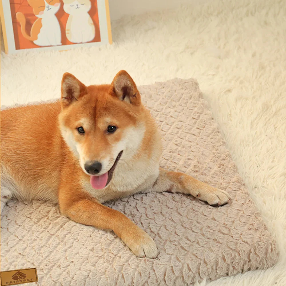 Memory-Schaum-Hundebett mit abnehmbarem Bezug – orthopädisch & wasserdicht