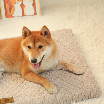 Memory-Schaum-Hundebett mit abnehmbarem Bezug – orthopädisch & wasserdicht