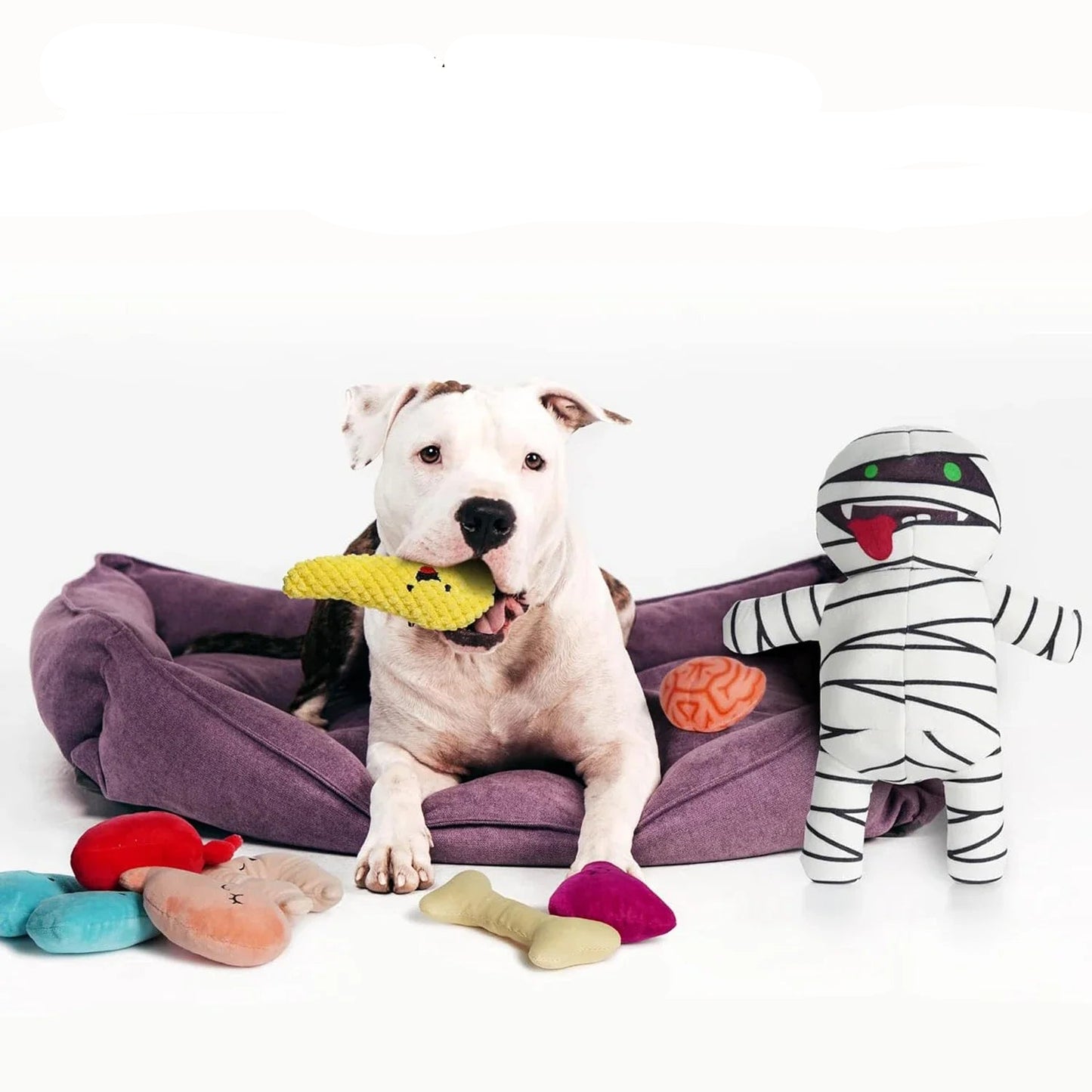 MummyMonster 9-in-1 Hundespielzeug mit versteckten Kauspielzeug