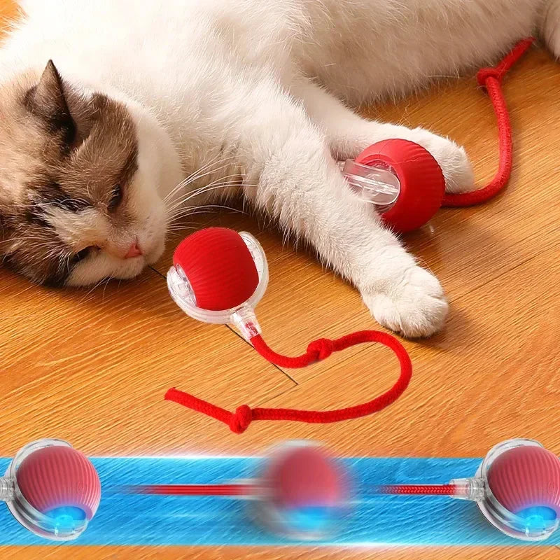 Interaktiver Spielball für Hunde & Katzen