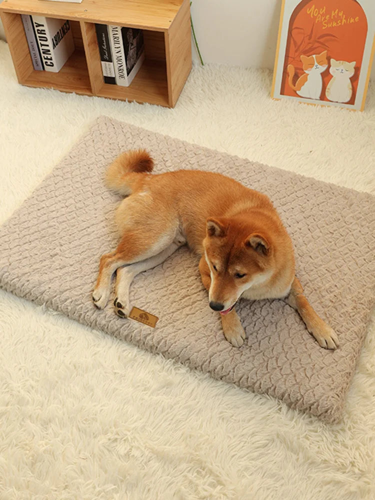 Memory-Schaum-Hundebett mit abnehmbarem Bezug – orthopädisch & wasserdicht
