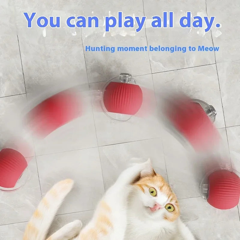 Interaktiver Spielball für Hunde & Katzen